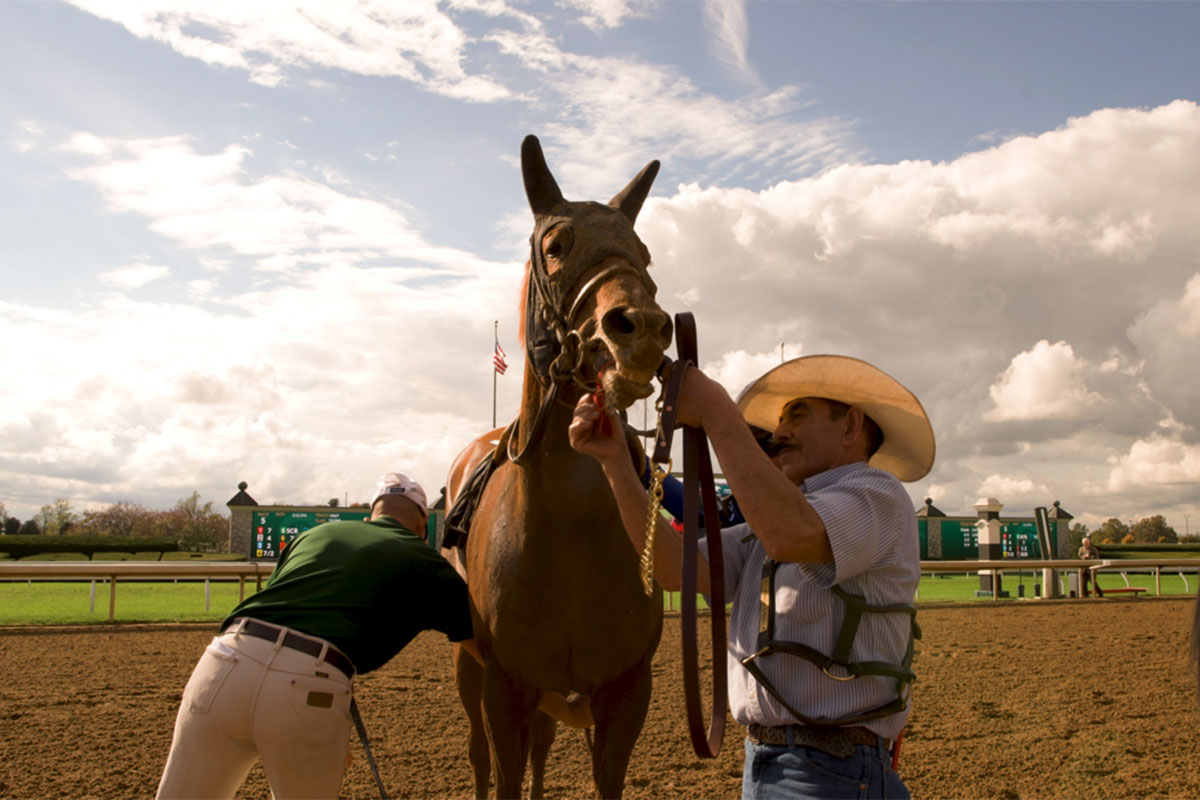 Two people care for a horse on a race track.