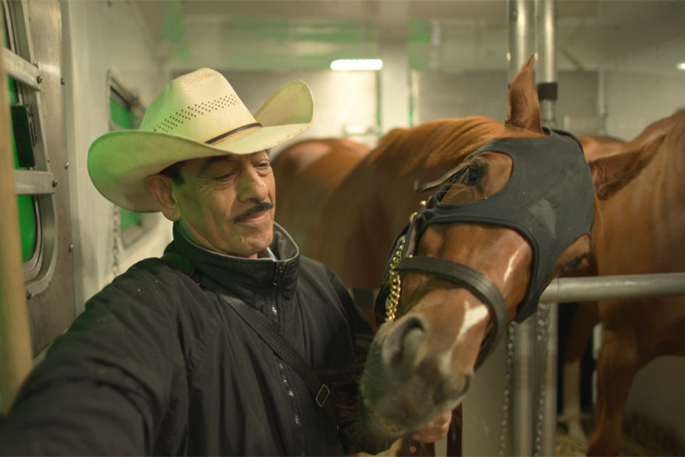 A man stands with a horse.