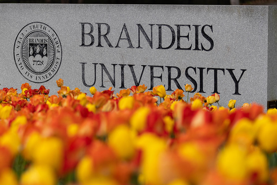 Brandeis sign