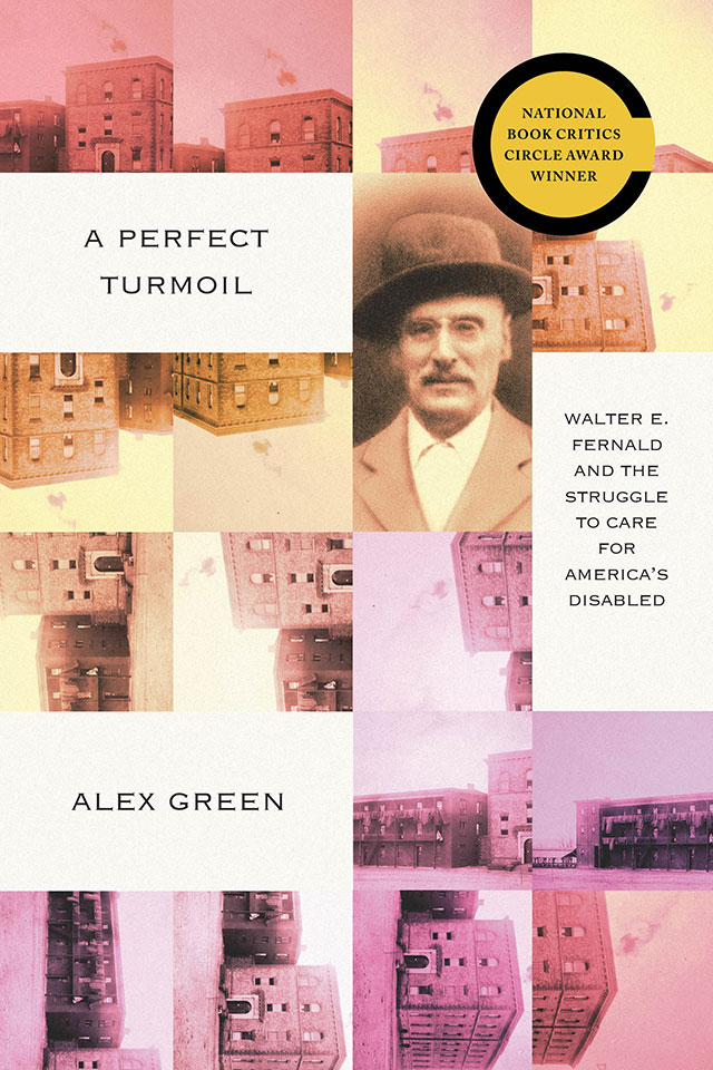 Book Cover for A Perfect Turmoil