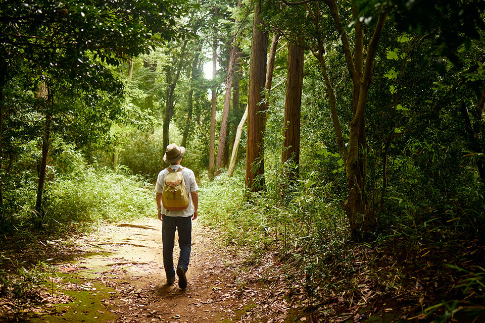 Man walking in the woods