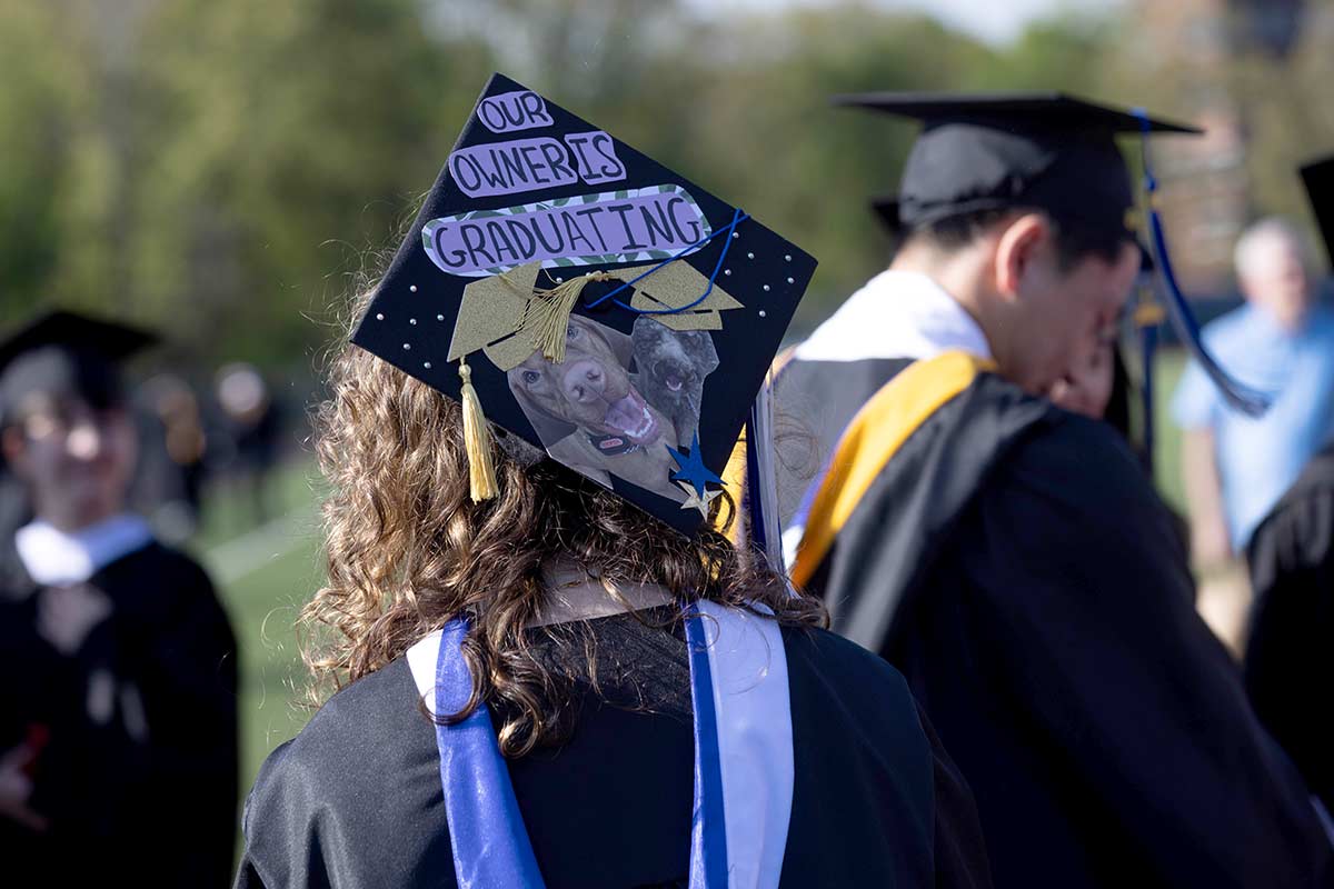 A decorated cap featuring dogs