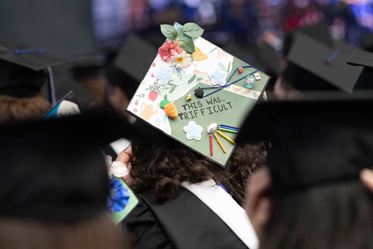 A decorated cap with colors and florals