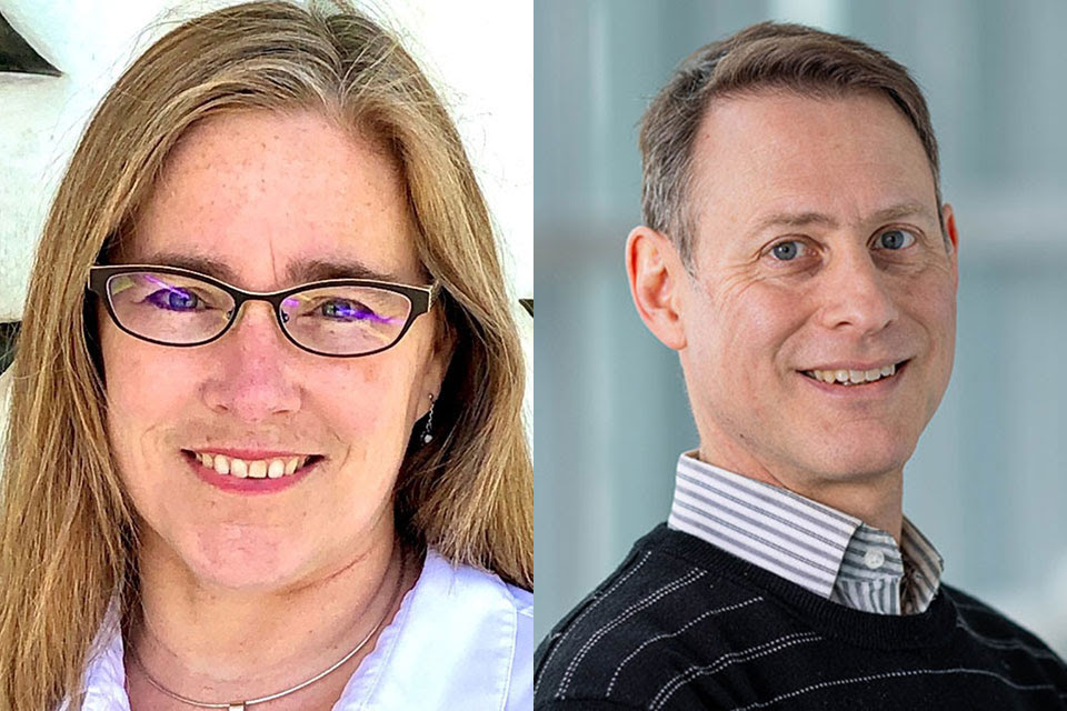 Brandeis professors Darlene Brooks Hedstrom and Peter Kalb