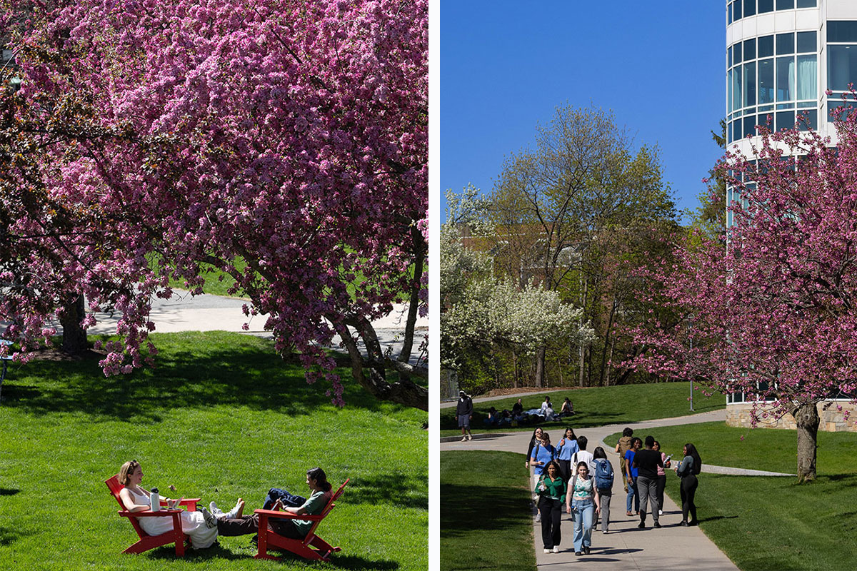 Two images. On the right, two students sit outside on a sunny day. On the left, students walk along a path on campus, surrounded by cherry blossoms.
