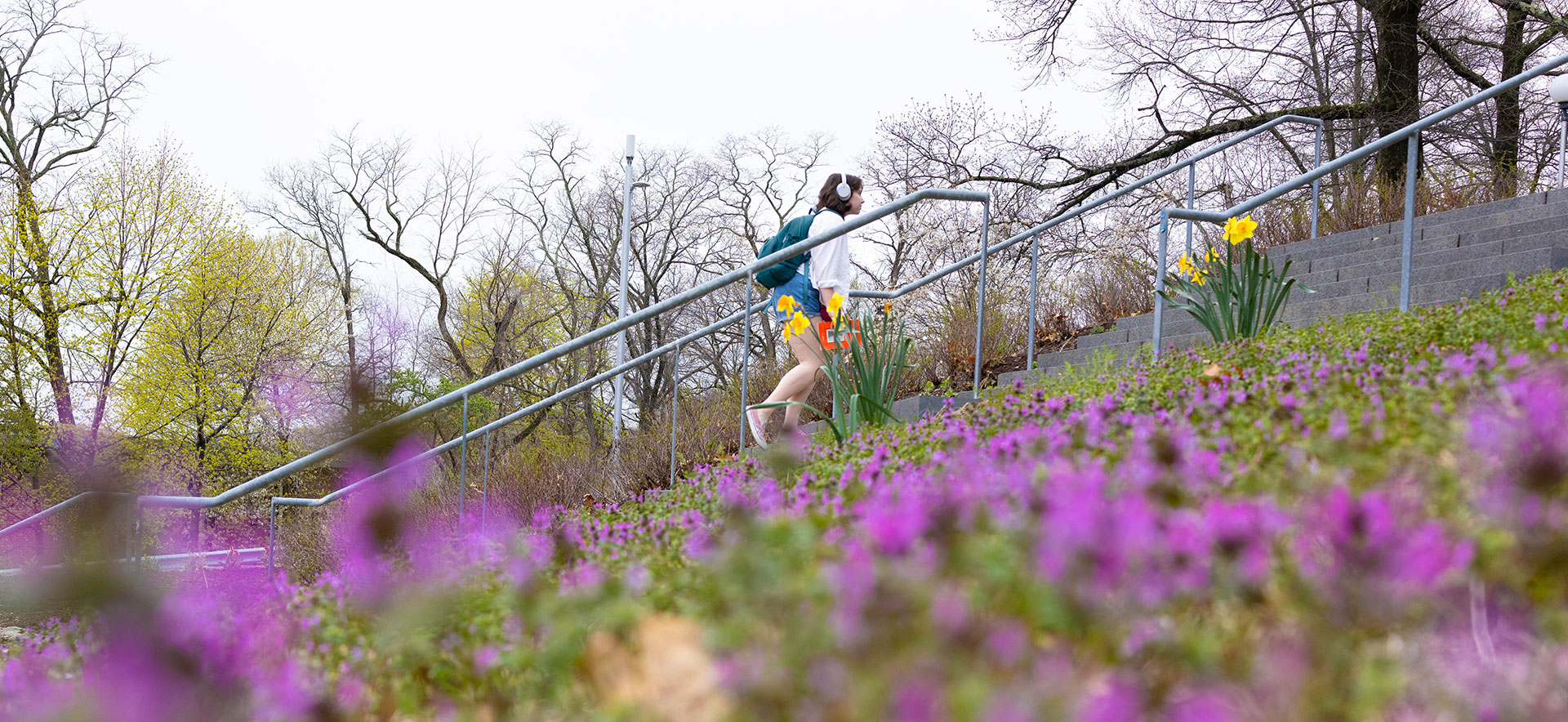 A student walks though campus on a rainy spring day, surrounded by bright flowers.