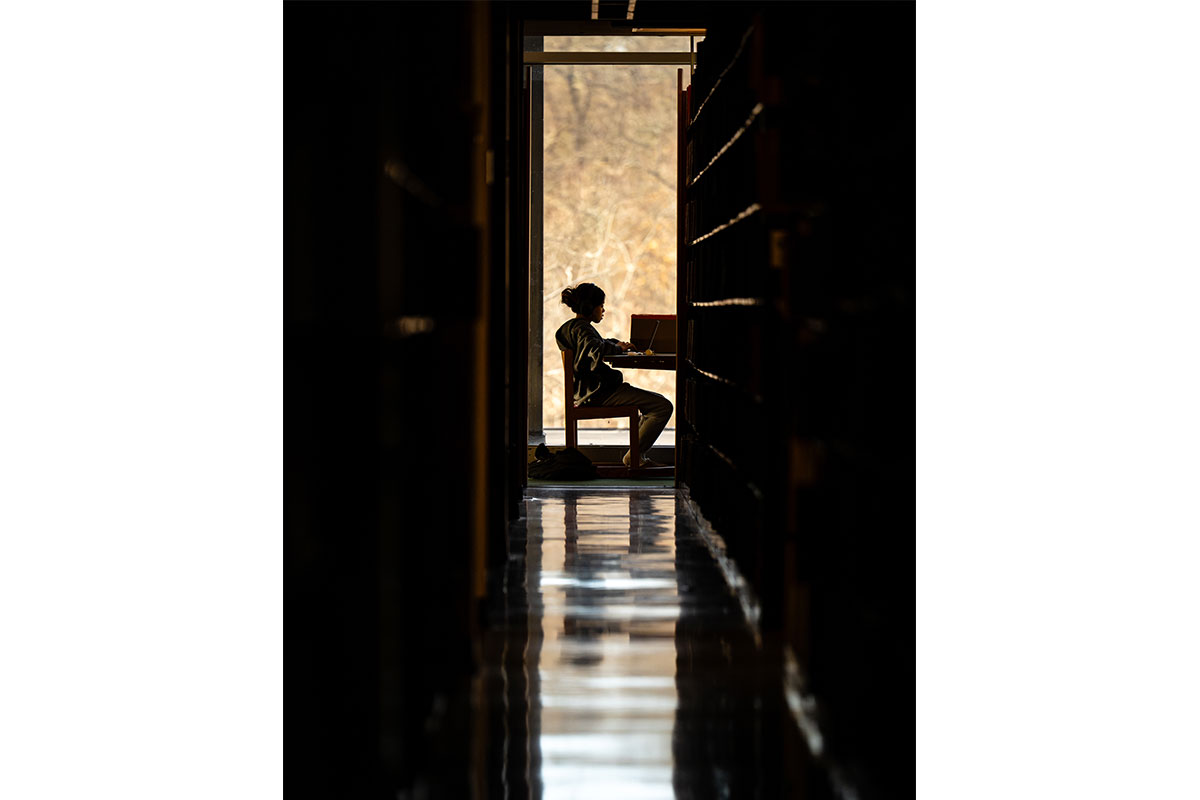 A student studies in the library in front of a window.
