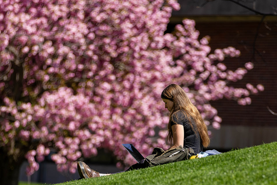 A student sits outside on the grass on campus and studies.