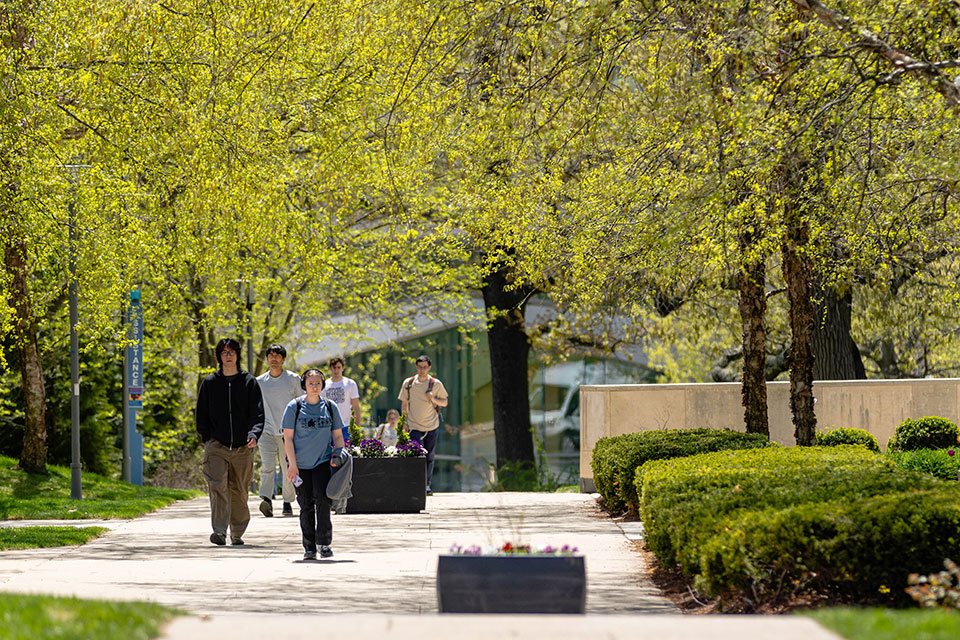 Students walk though campus under a canopy of budding trees.