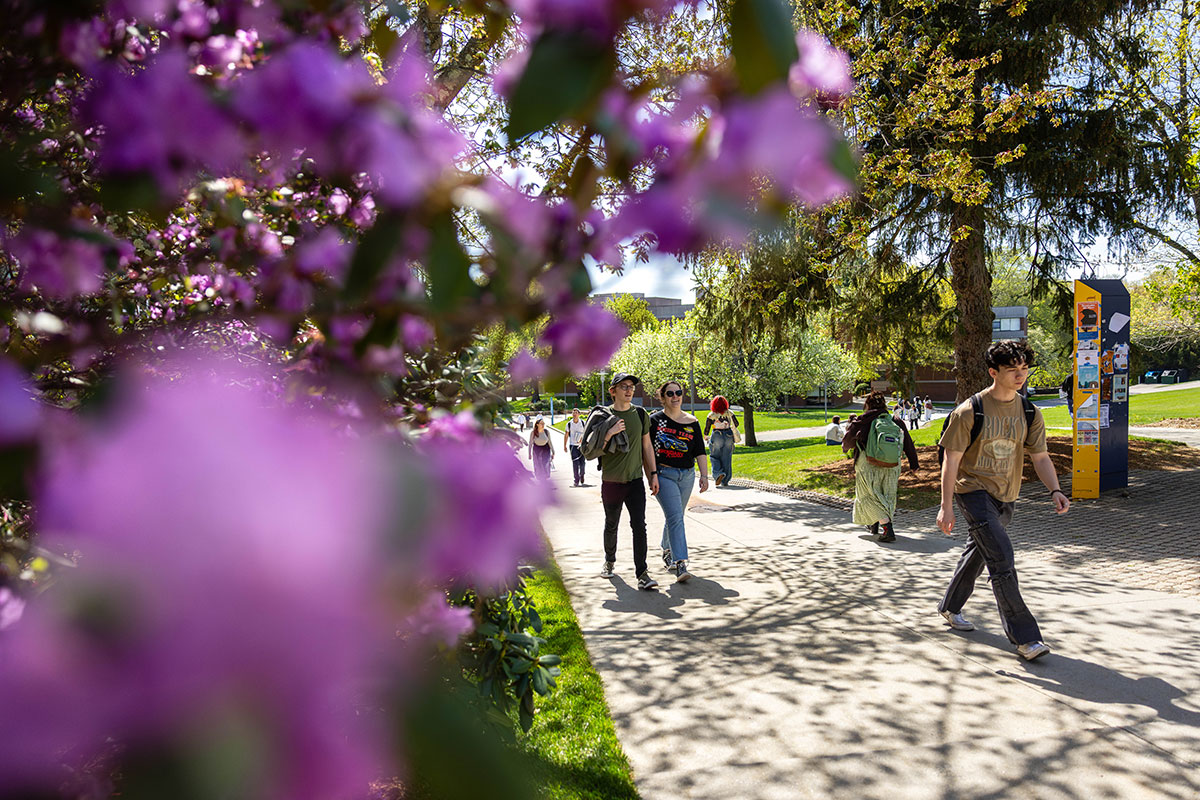 Students walk though campus on a sunny day.