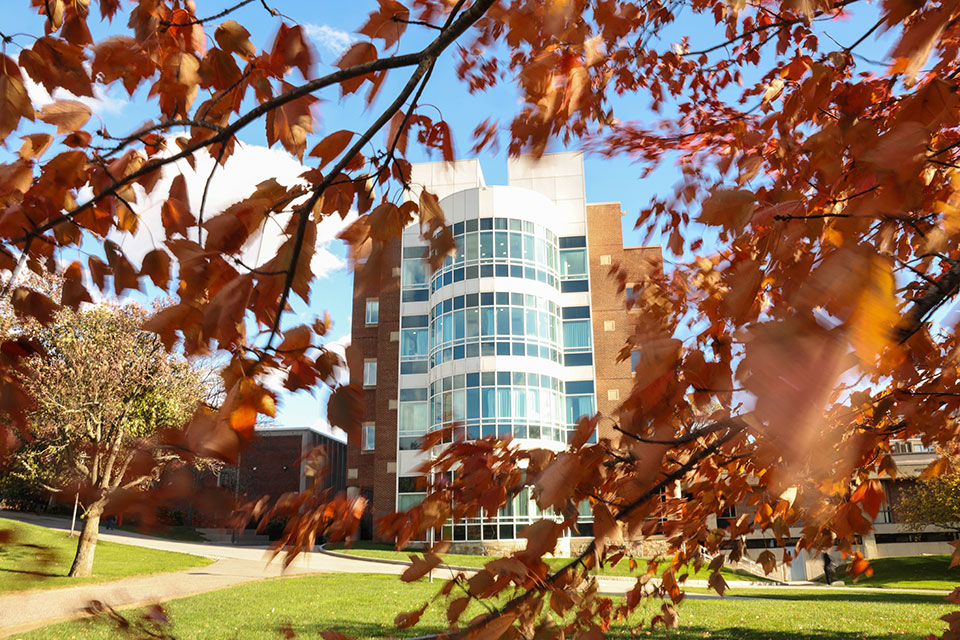 The Brandeis campus in the fall.