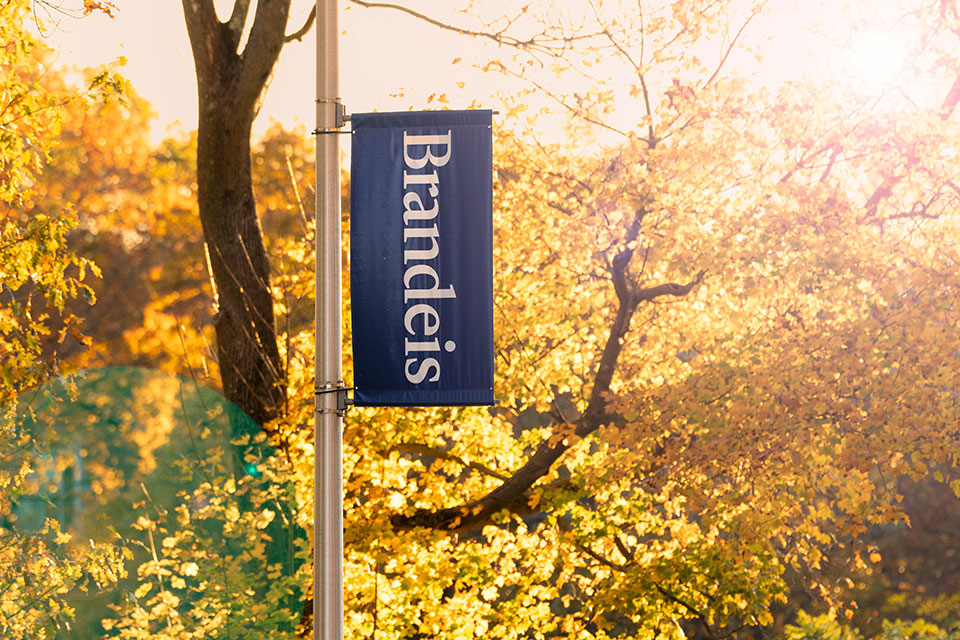 The Brandeis sign against a background of fall foliage
