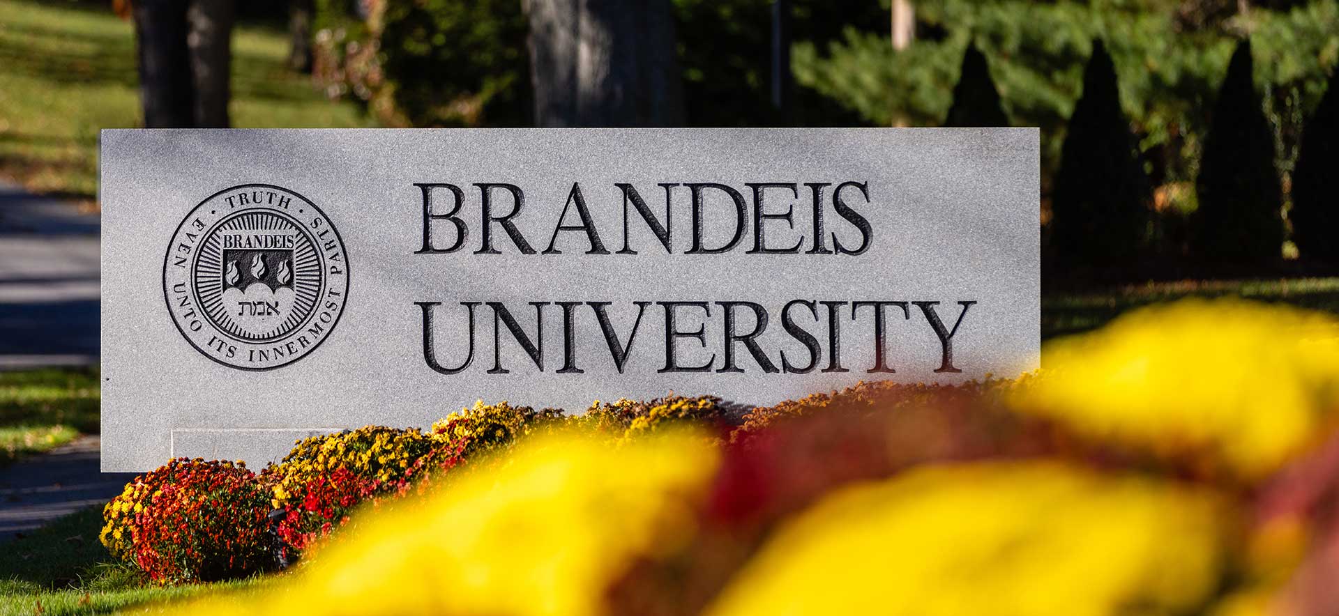 The Brandeis University sign surrounded by bright flowers.