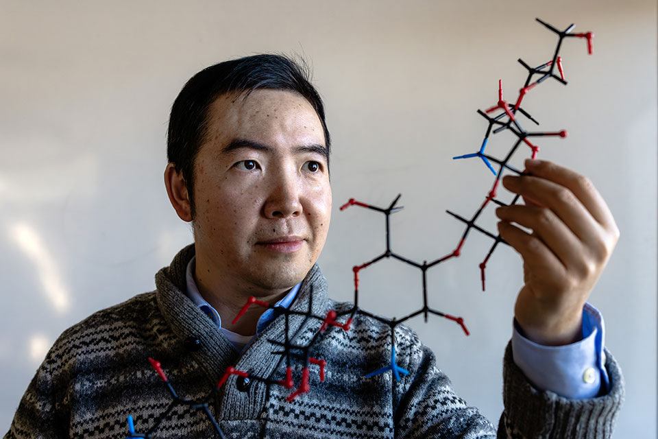 A professor holds up a carbohydrate model.