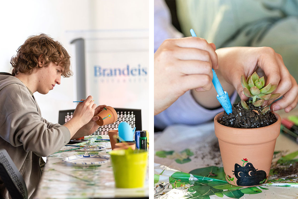 Two side-by-side images: On the left, a student paints a flower pot. On the right, two hands plant a succulent in a painted flower pot.