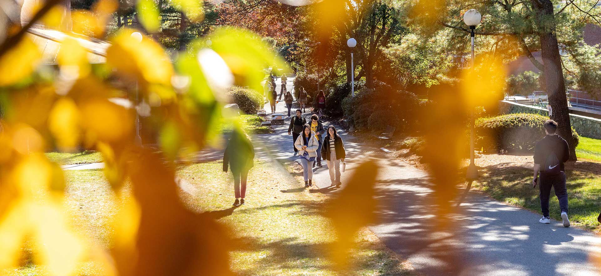 View of looking through yellow leaves at students walking down a pathway on campus