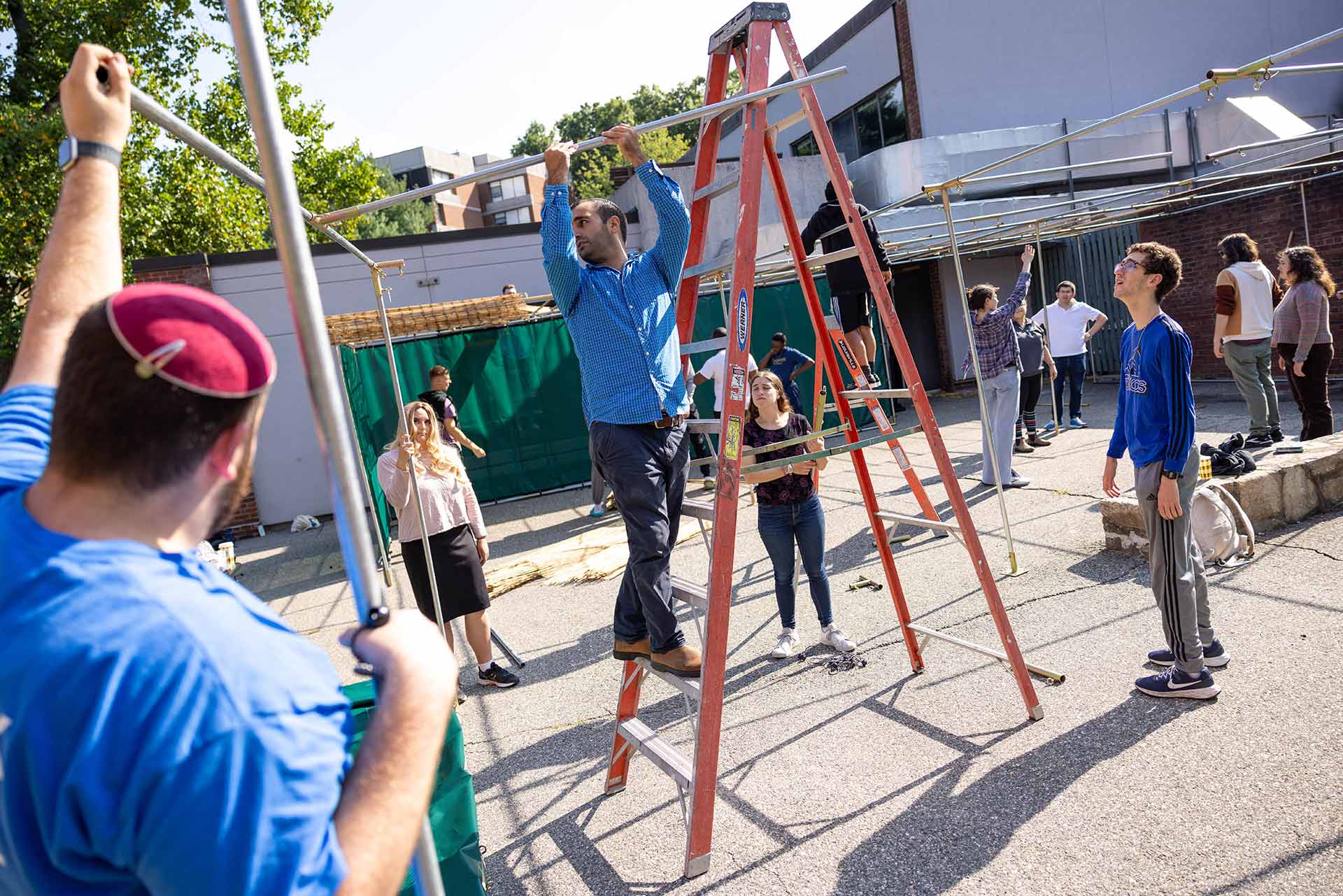 People outdoors, one on a ladder, building a Sukkah