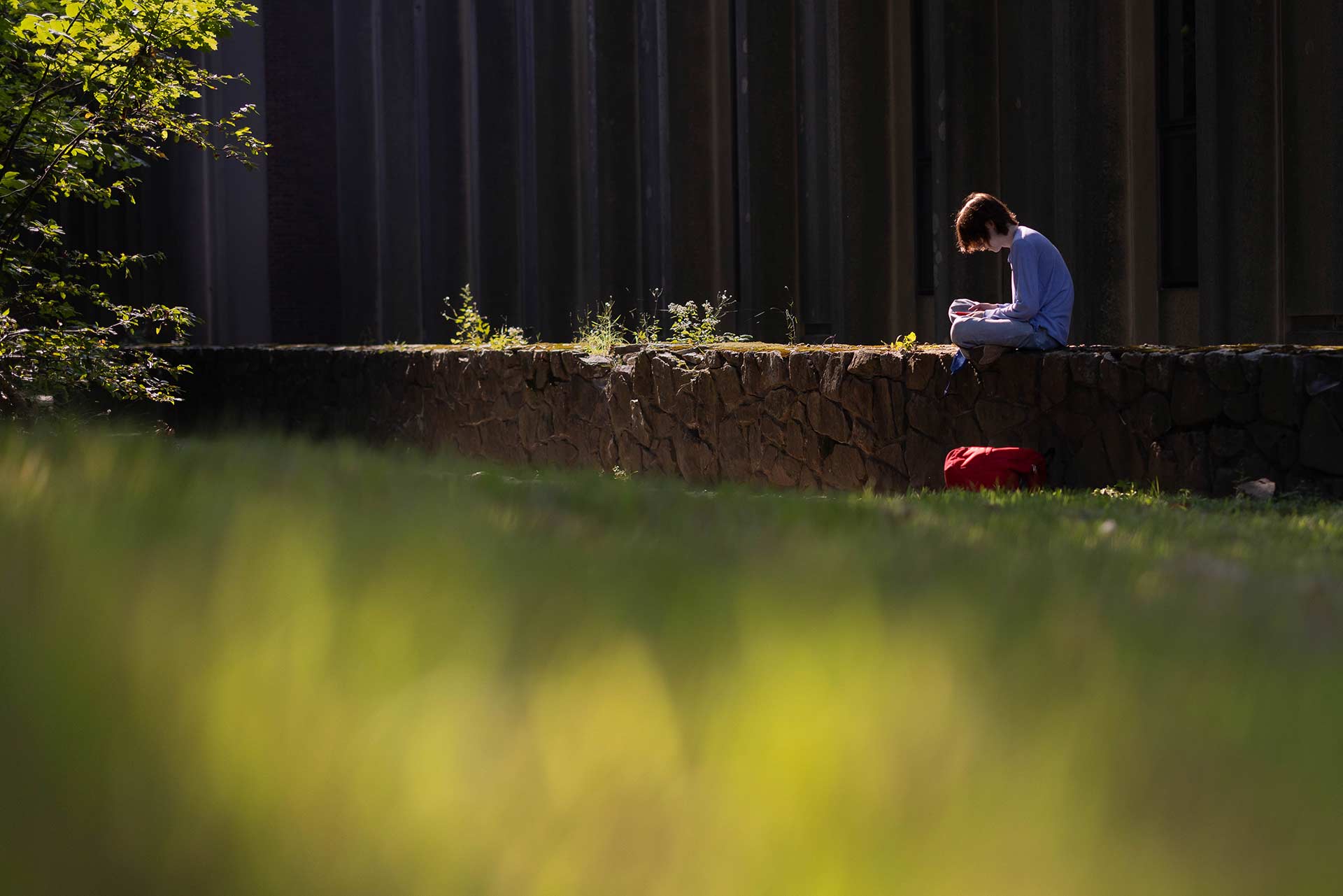 A student reads in a shaft of sunlight 