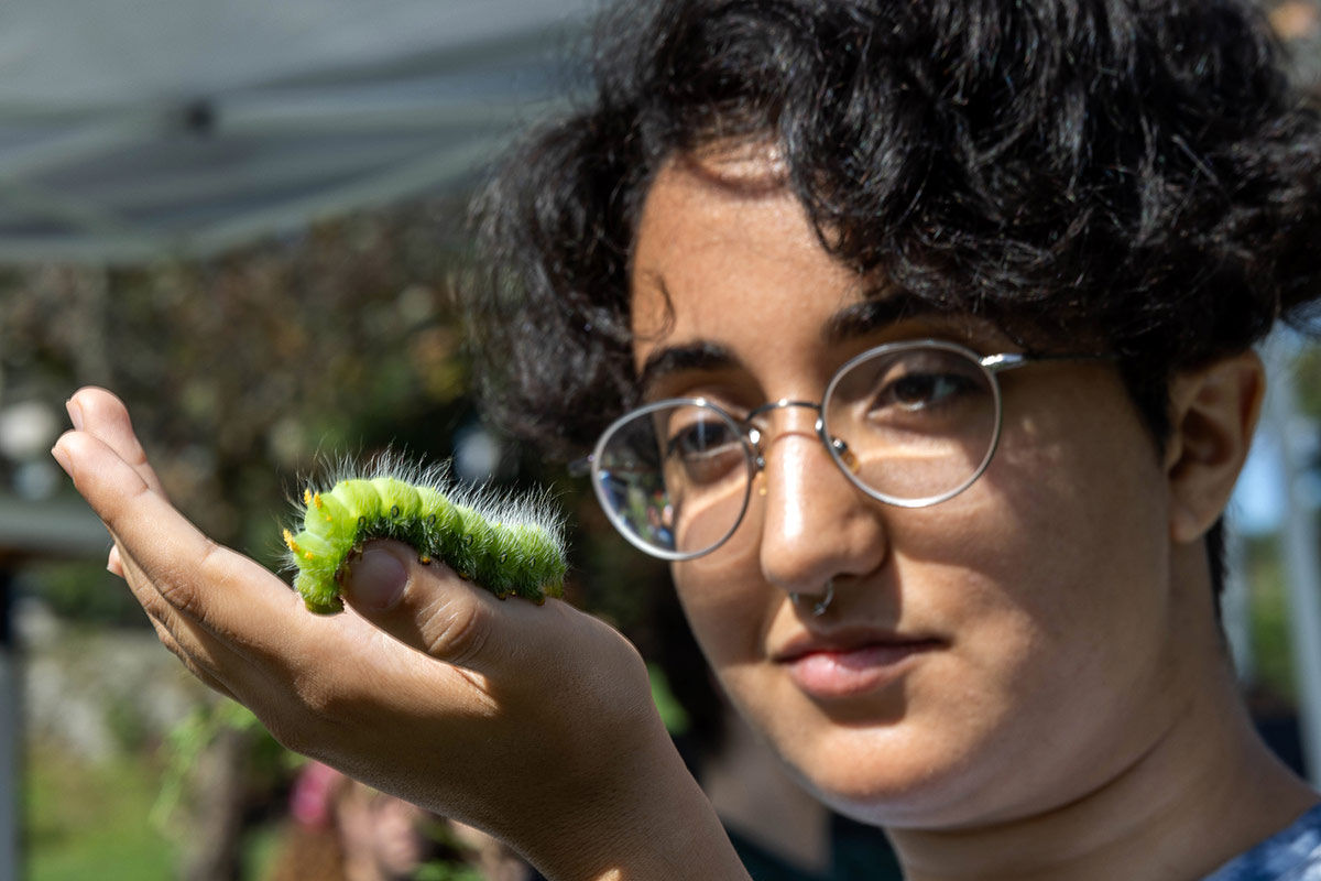 Person holding a caterpillar