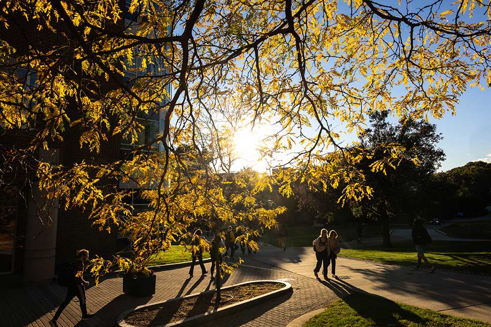 Students walk through the Brandeis campus on a fall afternoon.