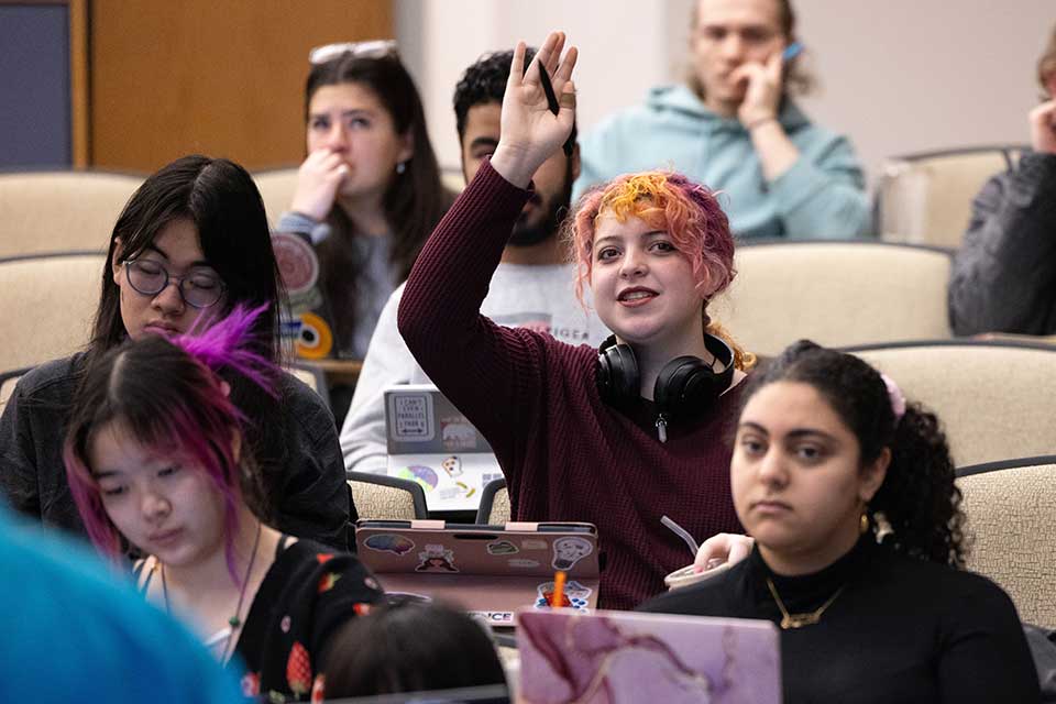 A student raises their hand in class