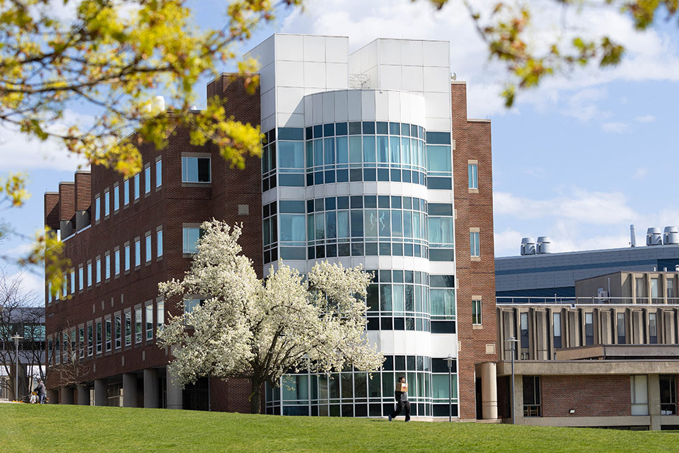 Brandeis campus in spring