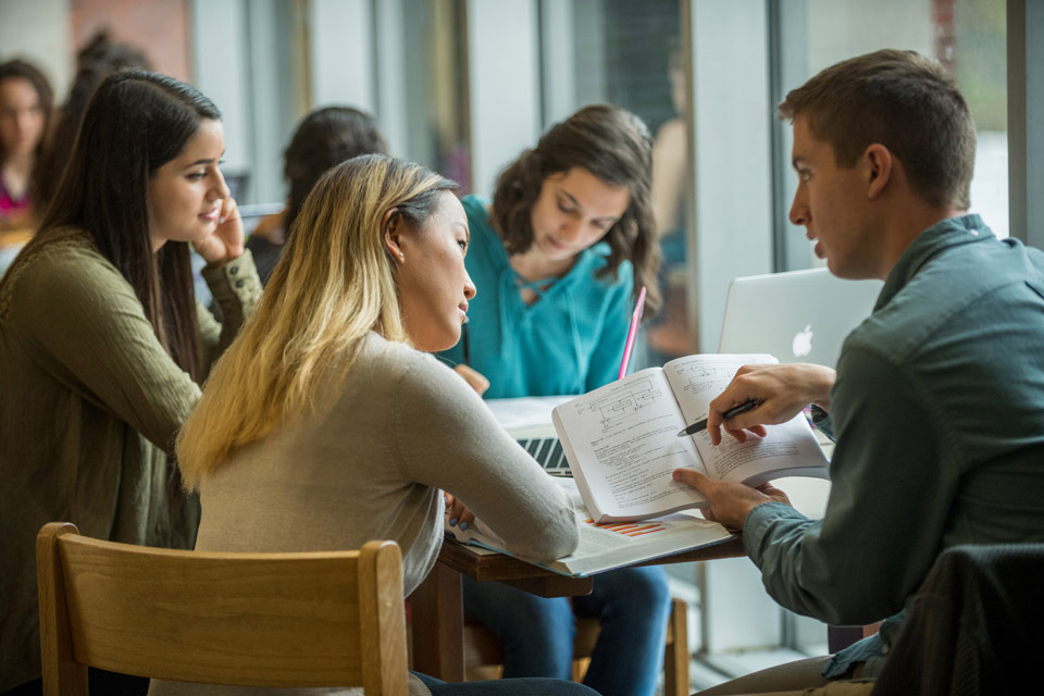 Students studying in library