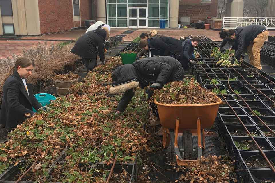 People gardening