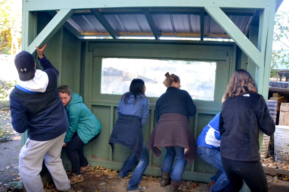 Volunteers at the VINE Sanctuary in Vermont