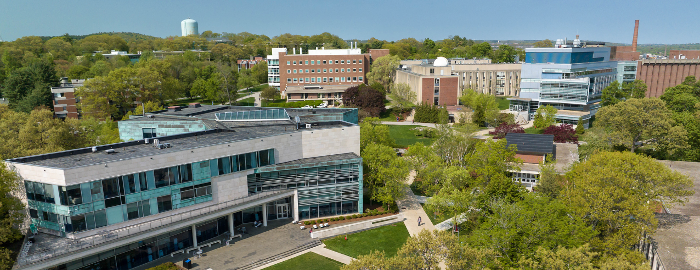 A skyline of Brandeis, showing multiple school buildings and surrounding foliage