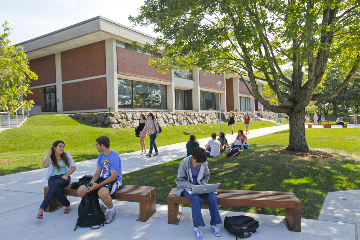 Brandeis students sitting in the campus quad