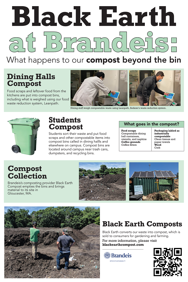 infographic about compost