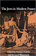 Cover of "The Jews in Modern France"