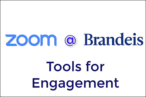Zoom @ Brandeis Tools for Engagement