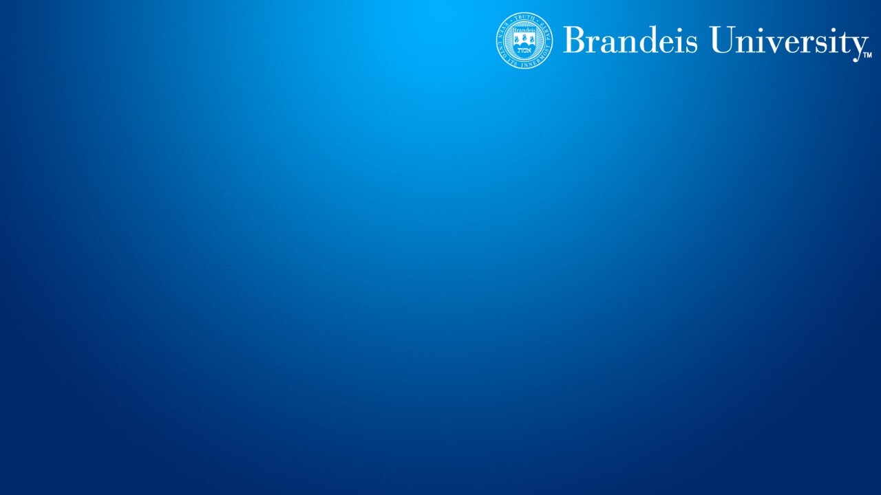 brandeis virtual zoom background