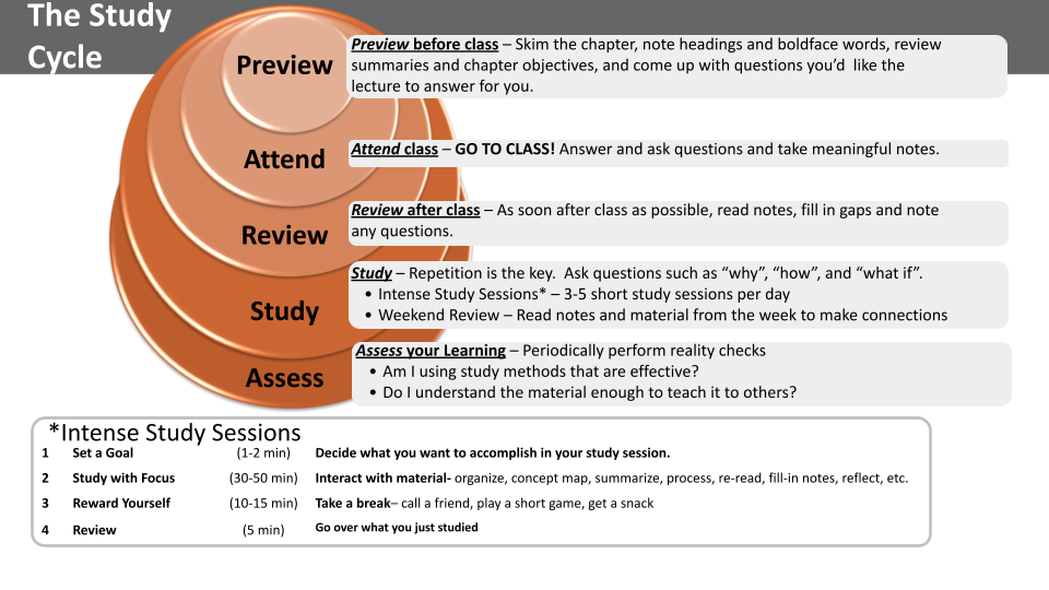 Diagram illustrating the Study Cycle