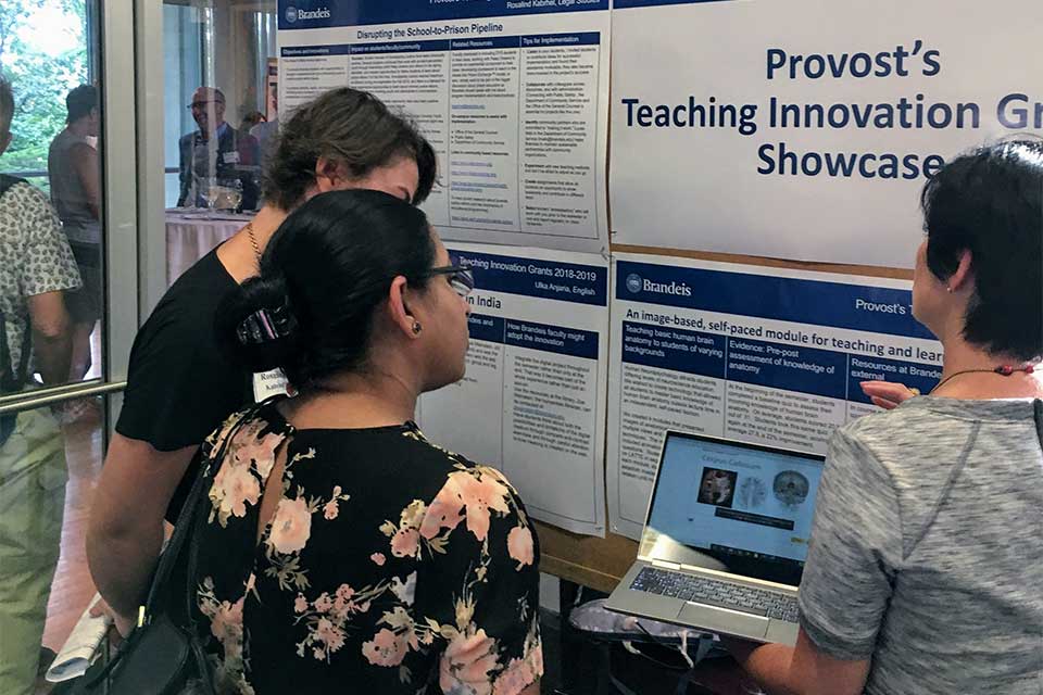 Brandeis faculty viewing a Teaching Grant poster.