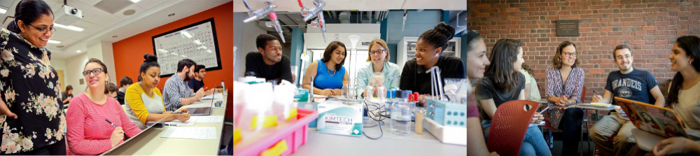 A trio of photographs showing Brandeis students engaging eagerly with their professors