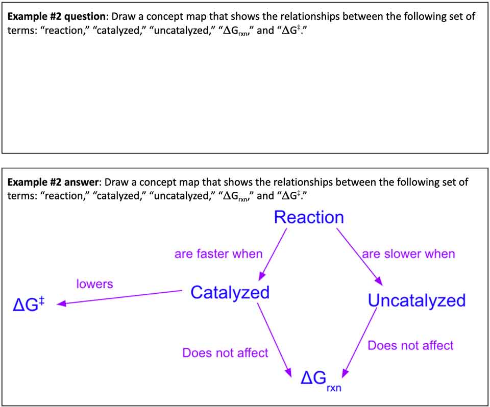 Concept map example 2 "Draw a concept map that shows relationships between the following set of terms"