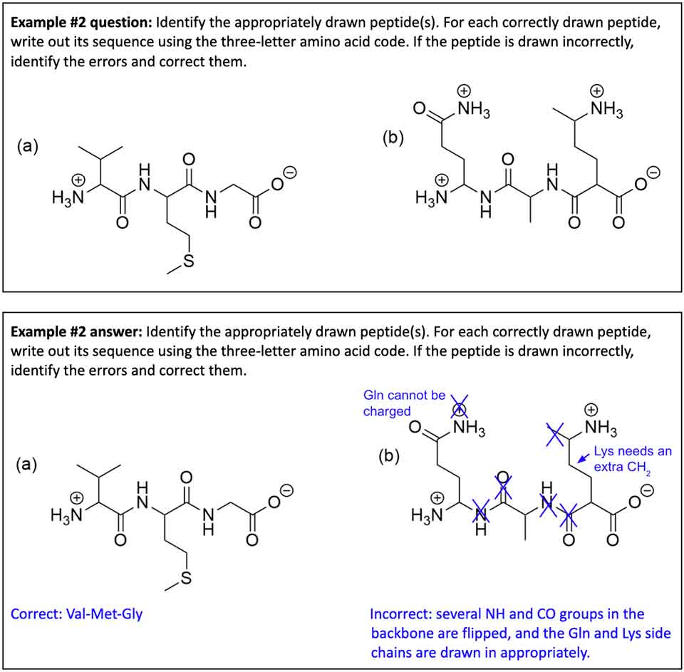 Statement correction activity in which 2 chemical structures are shown, one of which is correctly drawn, and one of which is incorrectly drawn and students need to identify the incorrect parts and explain how to fix the diagram.