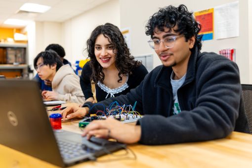 Students work at their computers