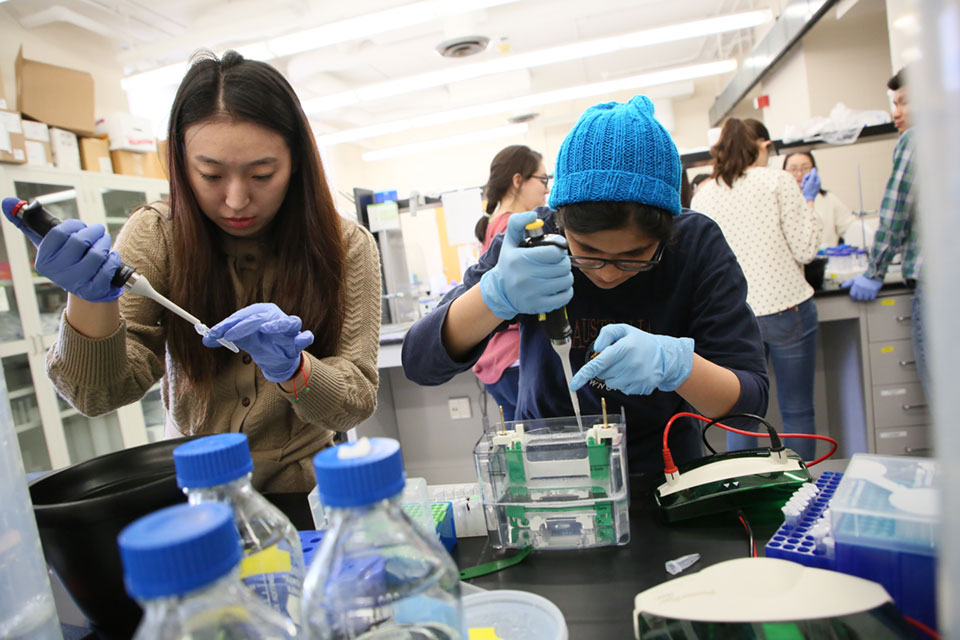 students in a lab