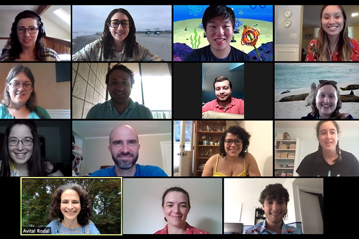 Zoom screenshot with 15 screens in a grid