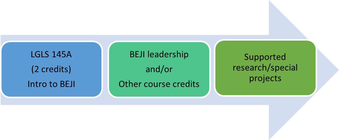 process flow starts with LGLS 145 A (2 credits) Intro to BEJI, then BEJI leadership and/or Other course credits, and finally with Supported research/special projects