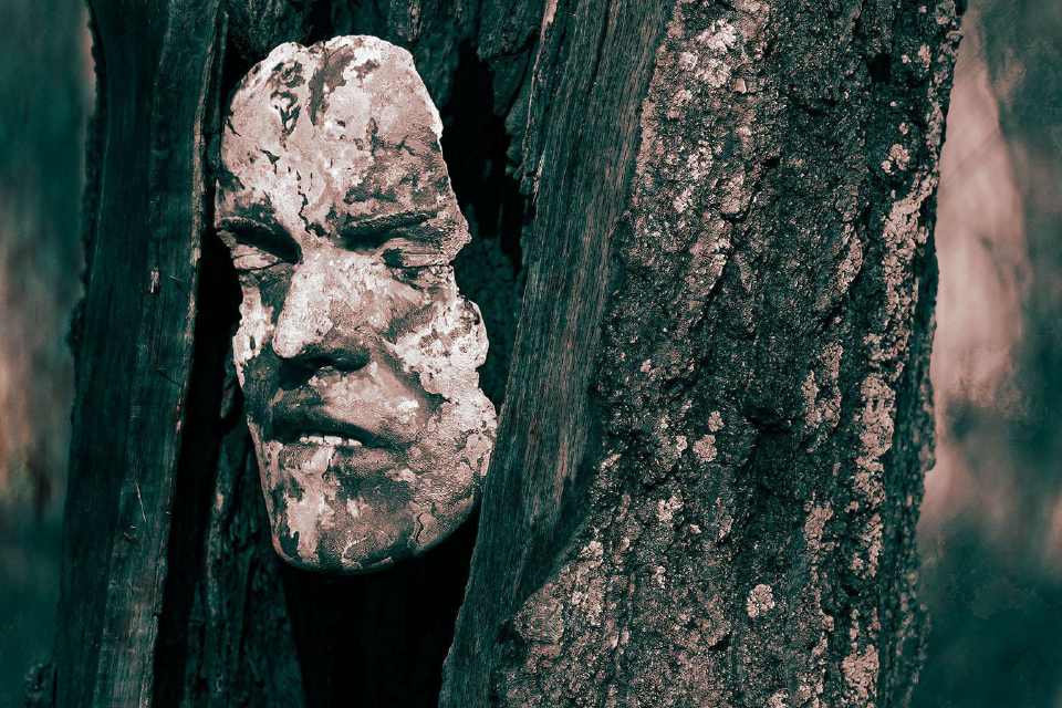 artwork depicts a human face carved into a tree