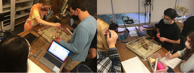 students working on a grid system in the anthropology lab