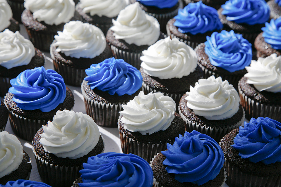 A tray of chocolate muffins with blue and white frosting