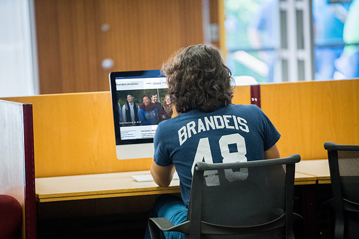 Student looking at computer, back of shirt says Brandeis