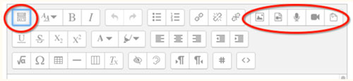 Formatting icons with headings, images, video, microphone options circled in red