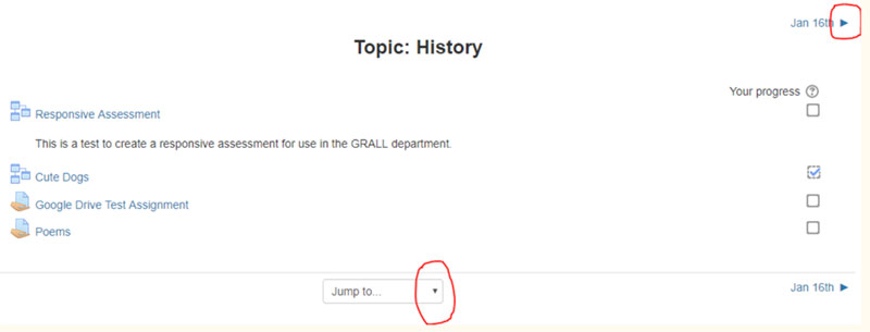 screenshot showing one section per page in LATTE